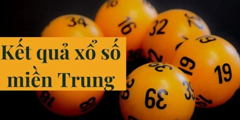 Khám Phá Thế Giới Cá Cược Với 288bet